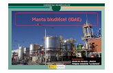Planta biodiésel (IDAE) · 2017-02-13 · Planta biodiésel (IDAE) ... Alcohol etílico producido a partir de productos agrícolas o de origen vegetal (bioetanol), ya se utilice