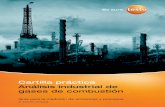 Cartilla práctica Análisis industrial de gases de combustión · 2018-04-25 · 1.4.4 Volumen del gas, efecto de dilución, valor de referencia 16 1.5 Gases de combustión 19 1.6