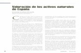 Valoración dolos activos naturales de España · 2010-09-06 · Valoración dolos activos naturales de España Fernando Esteban Moratilla Ingeniero de Caminos, Canales y Puertos