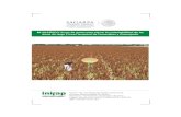 RB-HUASTECO: Sorgo de grano para elevar la sustentabilidad de … · 2015-03-06 · Pie de página RB-HUASTECO: Sorgo de grano para elevar la sustentabilidad de las áreas de riego
