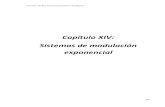 Capítulo XIV: Sistemas de modulación exponencialingenieria1.udistrital.edu.co/archivosudin/cancino...Circuitos de RF y las Comunicaciones Analógicas 240 Fig. 14.1 Señal modulada