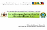 Las políticas para el desarrollo de los …Edna de Cássia Carmélio Coordenación de Agregación de Valor y Ingreso Las políticas para el desarrollo de los biocombustibles en Brasil