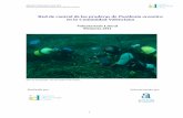 Red de control de las praderas de Posidonia oceanica en la ... · praderas de fanerógamas marinas, el Instituto de Ecología Litoral decidió emprender la tarea de llevar a cabo