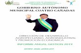 DIRECCIÓN DE DESARROLLO AGROPECUARIO, …...El Municipio de Cuatro Cañadas se encuentra en la Provincia Ñuflo de Chávez, ... en cumplimiento al Plan Operativo Anual 2019 según