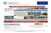 Ciudad Autónoma de Melilla | - …...- Que la empresa solicitante es una MICROEMPRESA, de acuerdo a la definición establecida en el Anexo I del reglamento (UE) nº 651/2014 de la