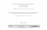 UASB-Digital: Página de inicio - Universidad Andina Simón Bolívar …repositorio.uasb.edu.ec/bitstream/10644/4740/1/T1759-MDP... · 2017-08-14 · considerado de manera referencial