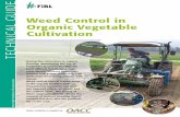 Weed Control in Organic Vegetable Cultivation...Soil coverage n Either use mulch, a cover crop or a complementary crop. òòô Promote crop growth n The faster the crop grows, the