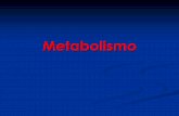 Metabolismo - Instituto de Investigaciones Biotecnológicas "Dr. … · 2019-05-28 · COX1: síntesis de PGs que regulan la secreción de mucina gástrica. COX2: síntesis de PGs
