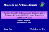 Ministerio del Ambiente Energía - OASoas.org/dsd/Documents/Costa_Rica_Maria_Guzman.pdf · 2005-08-11 · • La CST establece una escala de 0 a 5 y en las que cada número indica
