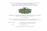 UNIVERSIDAD NACIONAL AUTONOMA DE NICARAGUA, …repositorio.unan.edu.ni/8334/1/17505.pdfEl Apalancamiento Financiero y Operativo es una herramienta de gestión empresarial de relevante