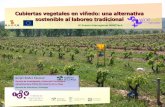 Cubiertas vegetales en viñedo: una alternativa sostenible al …winetech-sudoe.eu/files/SergioI.pdf · 2014-05-28 · Ayudas Agroambientales Eje II del Programa de Desarrollo Rural