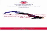 Cultivo y aplicación de las microalgas Dunaliella salina y Chlorella … · 2017-12-23 · UNIVERSIDADE DA CORUNA. FACULTADE DE CIENCIAS ^ ^ DEPARTAMENTO DE BIOLOXÍA CELULAR, Y