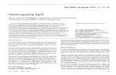 Nefropatía IgA - Luzimar Teixeira · arterioloesclerosis con hialinosis que se correlacionan con la esclerosis glomerular. La exacta relación entre la esclerosis vascular y la glomeruloesclerosis