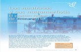 Libros de Grao • Libros de Grao Los neutrinos 84 ...rsefalicante.umh.es/Articulos_conceptos/2017_Neutrinos.pdf · fue a París a trabajar en el laboratorio de Irène y Frédéric