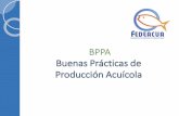 Buenas Prácticas de Producción Acuícola · 2019-12-03 · BPPA Buenas Prácticas de Producción Acuícola Las Buenas Prácticas de Producción Acuícola (BPPA) constituyen hoy