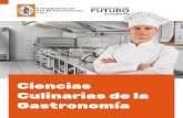 Ciencias Culinarias de la Gastronomía...de la gastronomía, con competencias para la investigación, la creación culinaria, el marketing y el liderazgo en la logística de eventos
