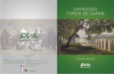 CATALOGO TOROS DE CARNE - CGLBrasil · INDICE Está llegando a su término una de las más difíciles etapas ganaderas que nos haya tocado enfrentar en las últimas cuatro décadas.