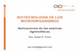 BIOTECNOLOGIA DE LOS MICROORGANISMOSbiotecnologiaindustrial.fcen.uba.ar/wp-content/uploads/...BIOTECNOLOGIA DE LOS MICROORGANISMOS Aplicaciones de las enzimas ligninolíticas Dra.
