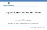 Inyecciones en Subterráneo - CIGMIPAcigmipa.net/images/bibliotecaVirtual/docs/inyecciones... · 2018-01-28 · INYECCIONES EN OBRAS CIVILES Introducción de un fluido a presión