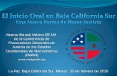 Alianza Estatal México-EE.UU. (CWAG) La Paz, Baja ......examen. Cuestiones •Convencer •Decisión. Argumentos. La entrega de información a los jueces del tribunal en el juicio