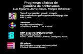 Programas básicos de genética de poblacionesvinuesa/tlem09/docs/CursoLat.pdf · 2009-06-30 · Expresión Fenotípica Dominancia Completa: Uno de los alelos domina y “silencia”