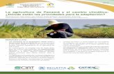 La agricultura de Panamá y el cambio climático: ¿Dónde están las …¡lisis_Vulnerabilidad... · 2019-12-22 · de mitigación del cambio climático. En contraste, el campo de