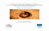 Crustáceos de la costa atlántica uruguaya: Caracterización y … · 2019-11-07 · composición y dinámica de uno de los grupos principales de la macrofauna costera, los crustáceos,