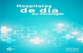 Hospitales de día - enfermeriacomunitaria.orgenfermeriacomunitaria.org/web/attachments/article/1344... · 2015-12-21 · Hospitales de día en oncología 10 El Ministerio de Salud