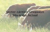 Sector cárnico uruguayo Situación Actual€¦ · •Situación de la Región del Mercosur en el Mercado Mundial de Carnes •Uruguay El país y la producción pecuaria. Industria