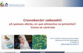 Cronobacter sakazakii - INOFOOD · 2017-11-15 · 23 de octubre de 2017 INOFOOD Contaminación de alimentos por Cronobacter spp. Laboratorio Microbiología y Probióticos INTA, U.