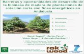 Presentación de PowerPoint · La biomasa de origen natural procedente de los recursos forestales y muchos de los subproductos que se originan de los sectores agrario, agroindustrial