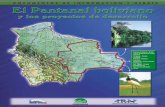 demandas de información constituyen un impulso …jasyrenyhe.com/.../10/2016/12/pantanal_bolivia.pdfl Pantanal Boliviano es un sistema altamente complejo y dinámico que forma parte