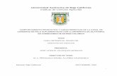 Universidad Autónoma de Baja Californiaica.mxl.uabc.mx/mspa/tesis/Velazquez Morales Jose Vicente... · 2010-10-05 · iv AGRADECIMIENTOS A mi comité por darme la oportunidad de