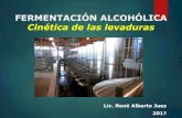 FERMENTACIÓN ALCOHÓLICA Cinética de las levaduras · 2018-11-09 · FERMENTACIÓN ALCOHÓLICA. Cinética de las levaduras GLICÓLISIS O vía de Emden-Meyerhof, permite a la célula