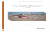 “instalación y operación de una planta concretera en playa del …consultaspublicas.semarnat.gob.mx/expediente/qroo/e... · 2018-04-03 · “instalación y operación de una