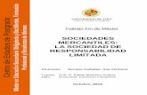 SOCIEDADES MERCANTILES: LA SOCIEDAD DE …tauja.ujaen.es/bitstream/10953.1/2365/1/SERRANO CAÑADAS, ANA … · sociedades he introducido definiciones de instituciones societarias
