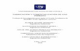FABRICACIÓN Y COMERCIALIZACIÓN DE GAS PIMIENTArepositorio.usil.edu.pe/bitstream/USIL/3944/3/2018... · mercado de oportunidad de negocio respecto a los aerosoles con gas pimienta,
