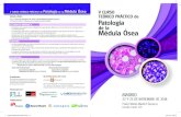Patología Médula Ósea V CURSO · 2018-11-14 · Solicitada la Acreditación a la Comisión de Formación Continuada de las Profesiones Sanitarias de la Comunidad de Madrid con