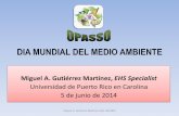 DIA MUNDIAL DEL MEDIO AMBIENTE - Universidad de Puerto Ricohome.uprc.upr.edu/info/NuevoIngresoCD/Files/Documentos... · 2019-08-20 · DIA MUNDIAL DEL MEDIO AMBIENTE Miguel A. Gutiérrez