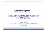 Regulación Tarifaria del Transporte del GN-MREVOLO Final · 2018-09-18 · Fuente: MEM Concesión del Sistema de Transporte del Gas Natural de Camisea al City Gate • En febrero