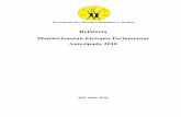 Relatóriu Monitorizasaun Eleisaun Parlamentar Antesipada 2018 - …pdhj.tl/wp-content/uploads/2013/11/RELATORIU-MONITORIZA... · 2018-07-25 · mak hala’o iha Munisípius no RAEOA.