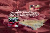 NOVIEMBRE 2008 - Fundación Doñana 21donana.es/source/MANUAL FRUTOS ROJOS.pdf · 2017-02-13 · El ámbito geográfico definido para este estudio, el Espacio Natural Do-ñana, forma