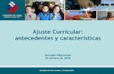 Ajuste Curricular: antecedentes y característicaslem.uctemuco.cl/wp-content/uploads/2009/06/presentacion...(David Perkins), en “Designing a curriculum for the future Secondary Schools”