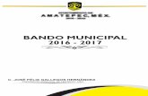 BANDO MUNICIPAL 2016 - 2017legislacion.edomex.gob.mx/sites/legislacion.edomex.gob...Bando actual para lograr que el Gobierno Municipal y los habitantes del Municipio de Amatepec, tengan