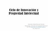 Ciclo de Innovación y Propiedad Intelectual - IPKEY · 2019-12-16 · propiedad intelectual y utilizarlo eficazmente en su estrategia comercial. Las empresas que dedican tiempo y