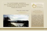 La costumbre jurídica en la localidad de Coachumo LENGUA Y ...avanthooft.net/ARTICULOS/05_Contreras.pdfPuebla es otro estado que, a partir del 2004, incluyó en su legislación la