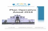 Plan Operativo Anual 2018 A 5/Plan... · 2019-11-04 · PLAN OPERATIVO ANUAL EJERCICIO FISCAL 2018 PRESENTACIÓN I. DIAGNÓSTICO 01 A. Contribución al Desarrollo Nacional 01 B. Ámbito
