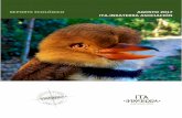 REPORTE ECOLÓGICO AGOSTO 2017 ITA-INKATERRA ASOCIACIÓN€¦ · 1.5.1.Complementar la lista de diversidad de aves de Inkaterra Guides Field Station. 1.5.2.Establecer los patrones