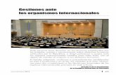Gestiones ante los organismos internacionales...El Relator Especial sobre ejecuciones extrajudiciales, sumarias o arbitrarias de la ONU el 27.05.20132 publicó un Informe en el que