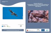 Proyecto LIFE para la conservación y gestión del …...El águila-azor perdicera, si bien no es la Fluvial de la Región de Murcia). En la actuali-mayor de nuestras rapaces, si es